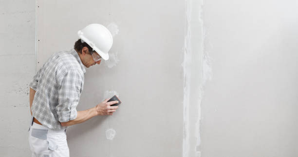 Best Real Estate Mold Inspection  in Exandria, AL