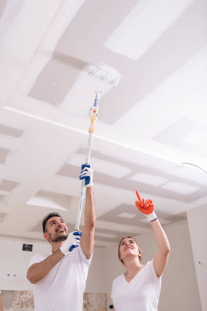 Best Mold Prevention Services  in Exandria, AL
