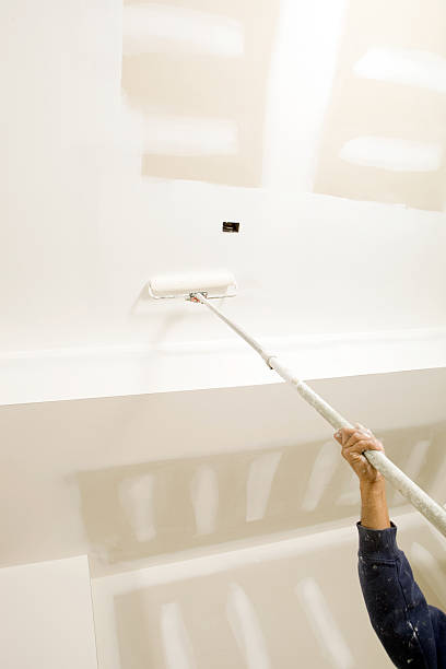 Professional Mold Removal in Alexandria, AL