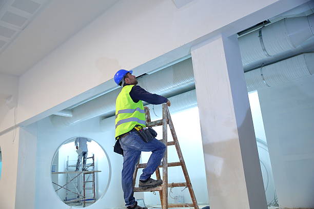 Environmental Consulting for Mold Prevention in Alexandria, AL